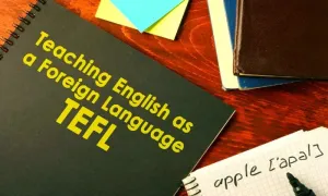 120-Hour TEFL Certificate with International Open Academy