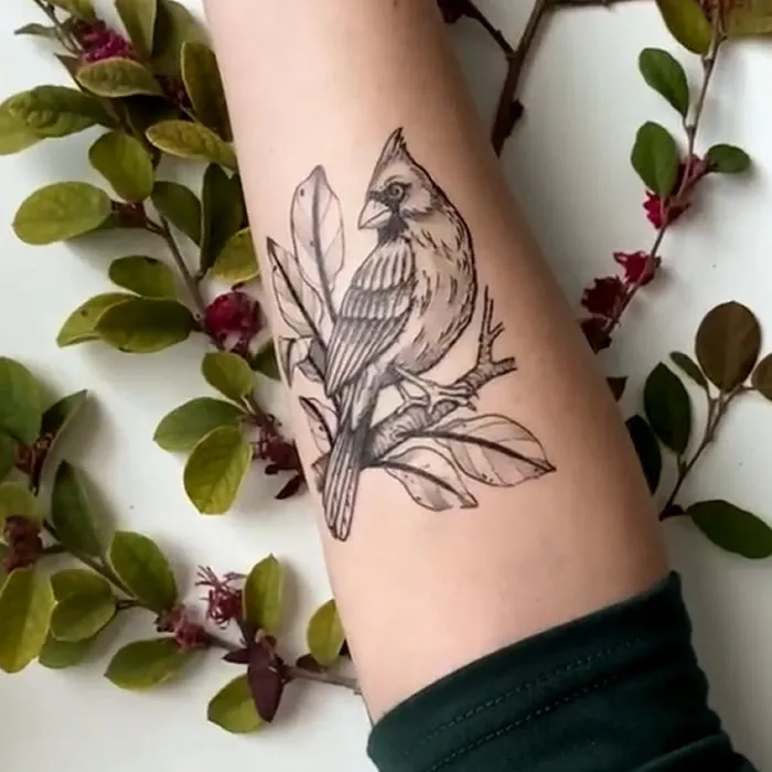 Cardinal Bird Temporary Tattoo