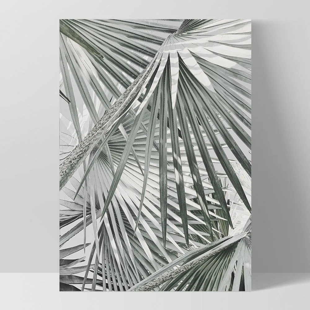 Fan Palm View in Pastels - Art Print