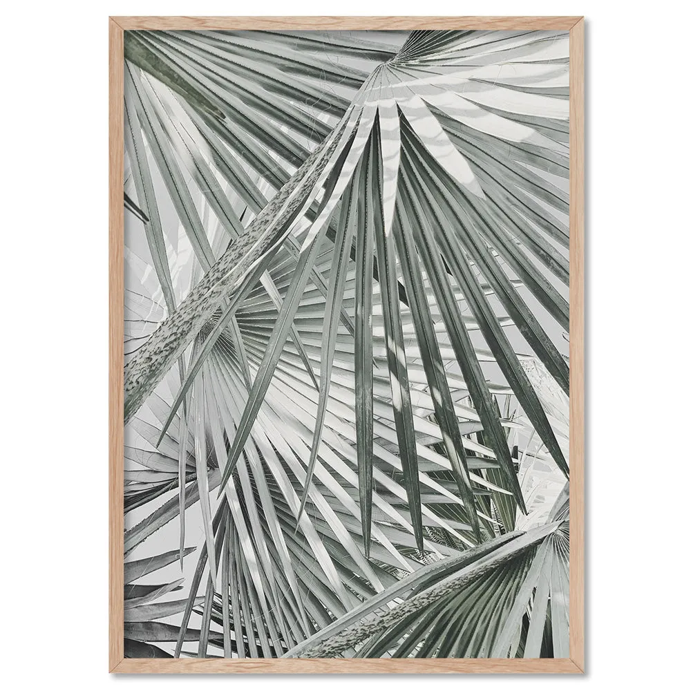 Fan Palm View in Pastels - Art Print