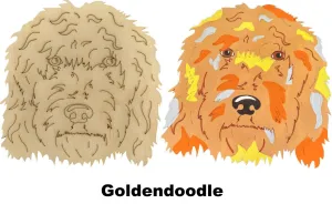 Golden Doodle-DIY Pop Art Paint Ki