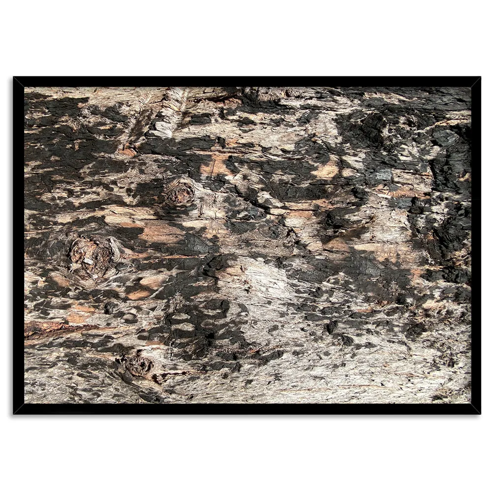 Gumtree | Burnt Ironbark - Art Print