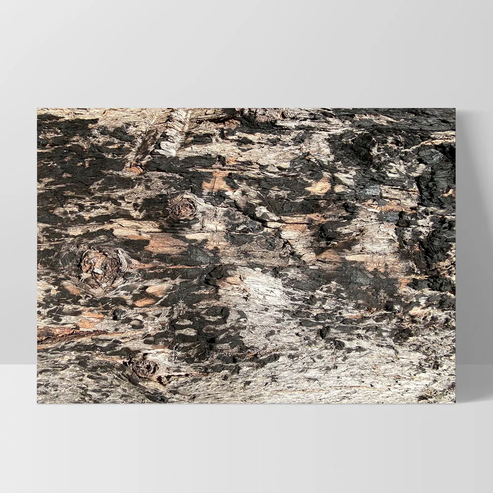 Gumtree | Burnt Ironbark - Art Print