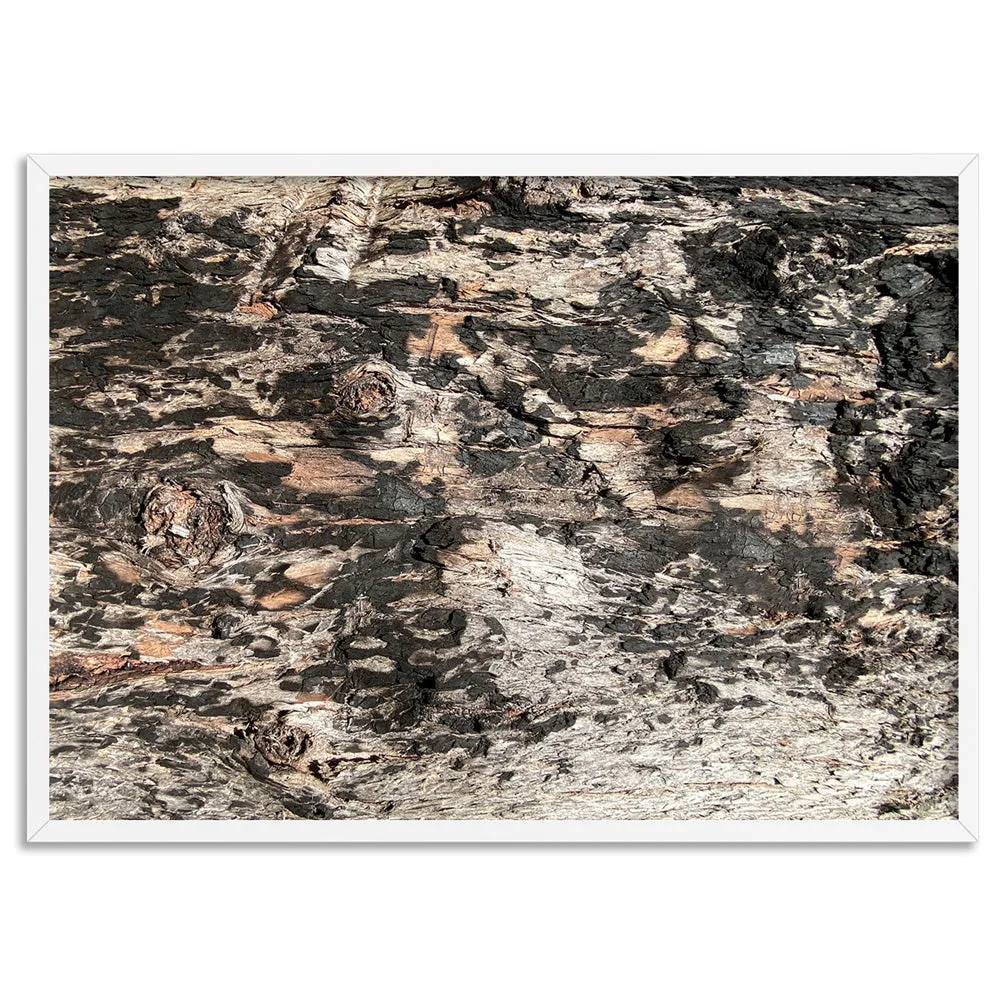 Gumtree | Burnt Ironbark - Art Print