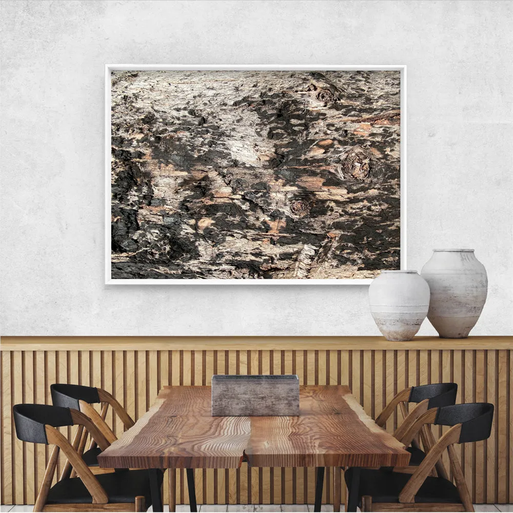 Gumtree | Burnt Ironbark - Art Print