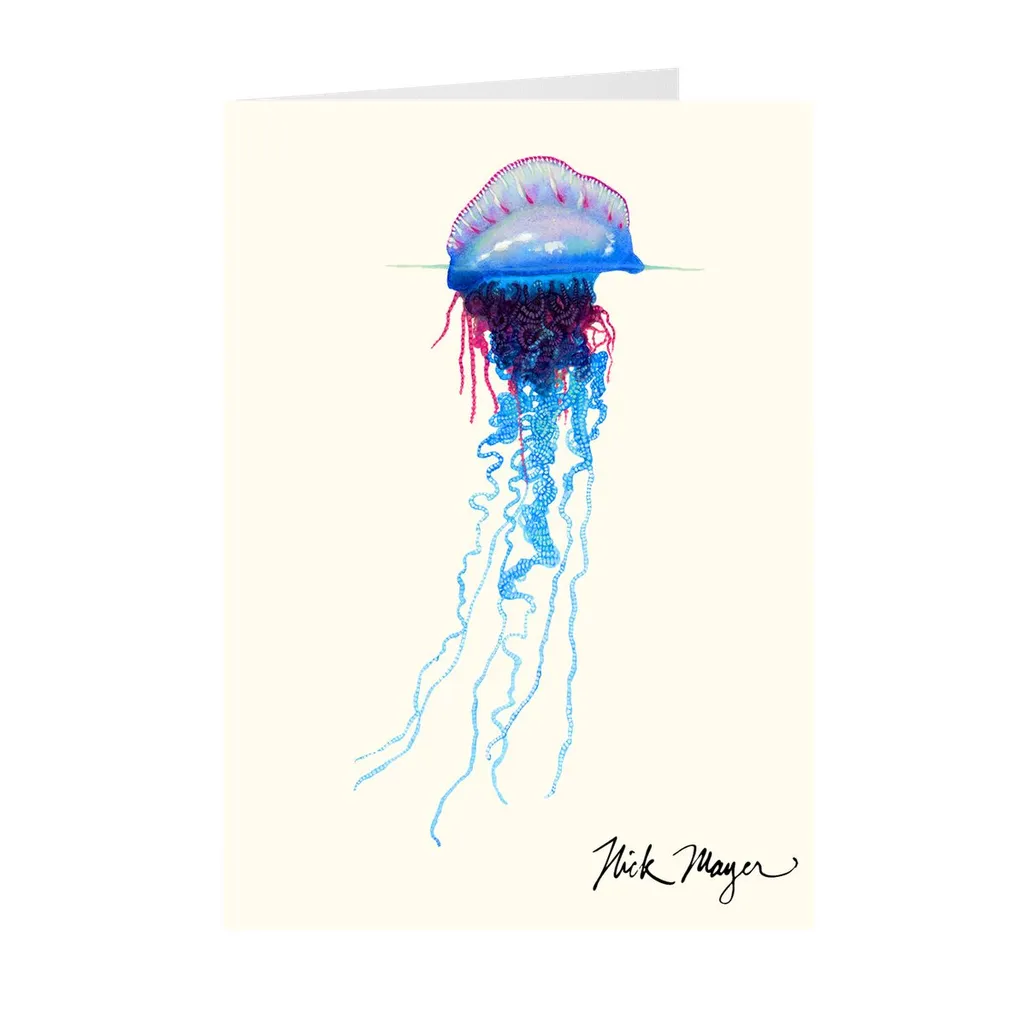 Portuguese Man O' War Notecards