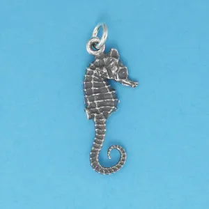 Seahorse Charm